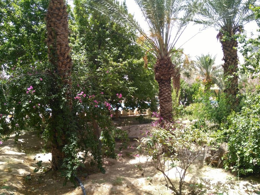 Hotel Jugurtha Palace Single Room 6