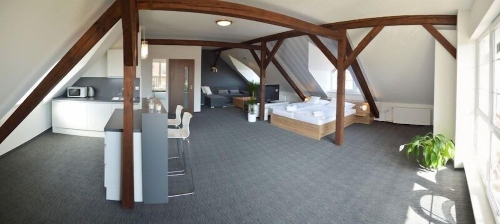 Penzion Bird's Nest Deluxe Loft (Terrace)