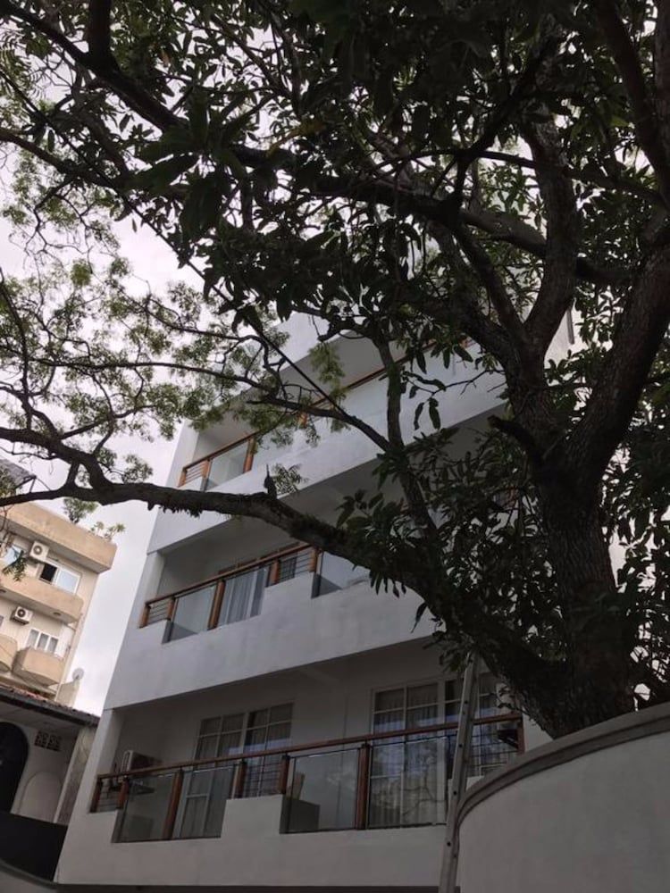 undefined Amber FR 16 Colombo 2