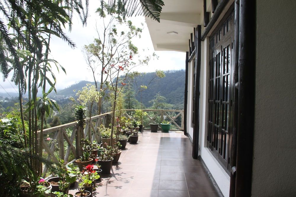 undefined chez allen 7