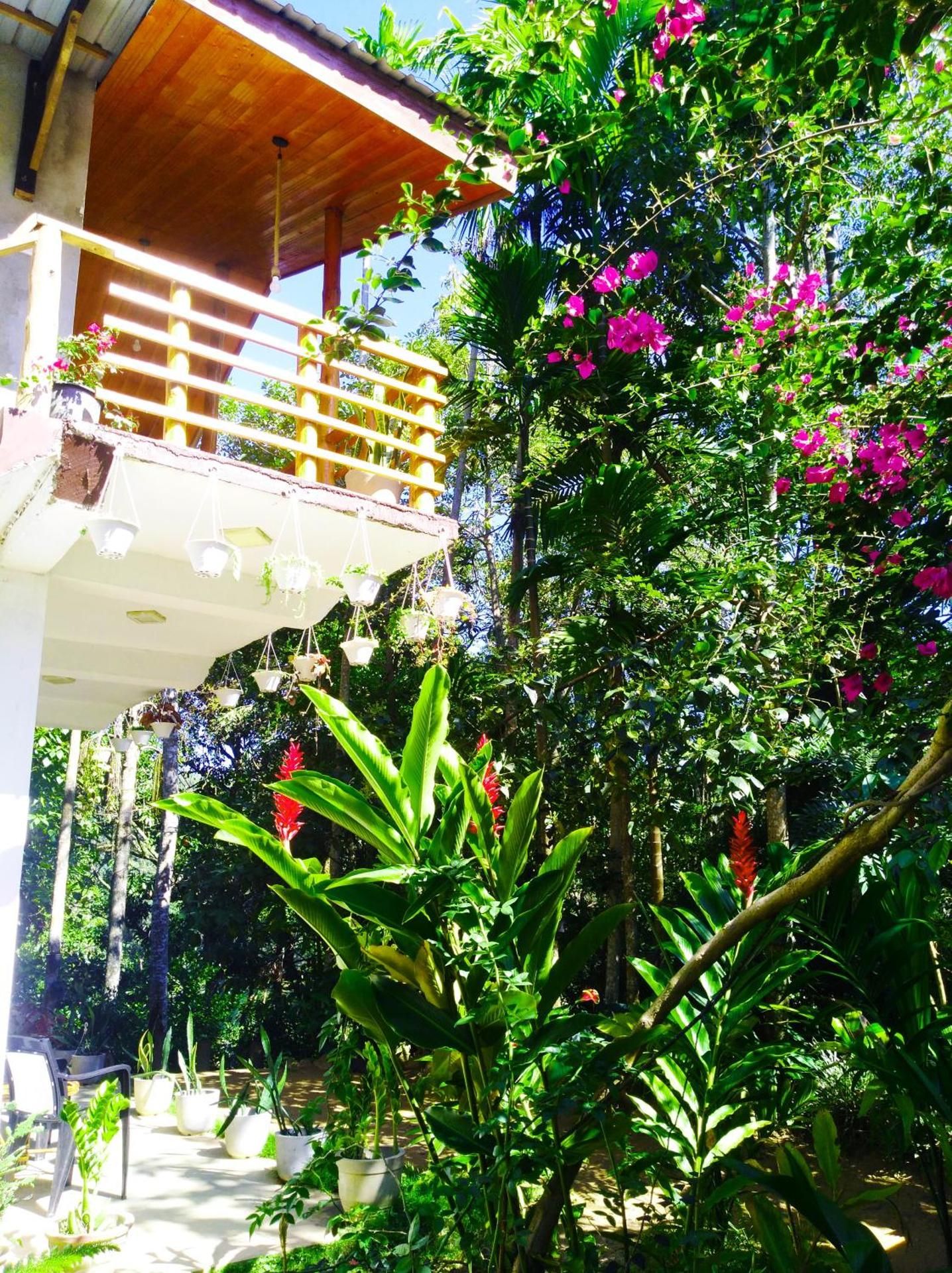 undefined Walkers Nest 3