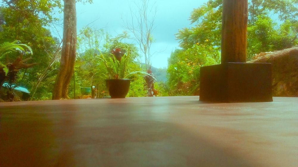 undefined Walkers Nest 10