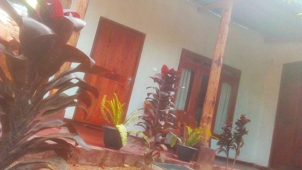 undefined Walkers Nest 8