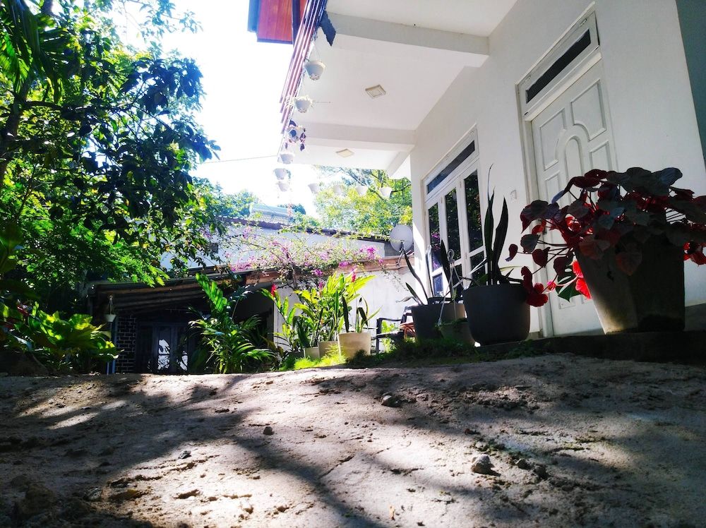 undefined Walkers Nest 5