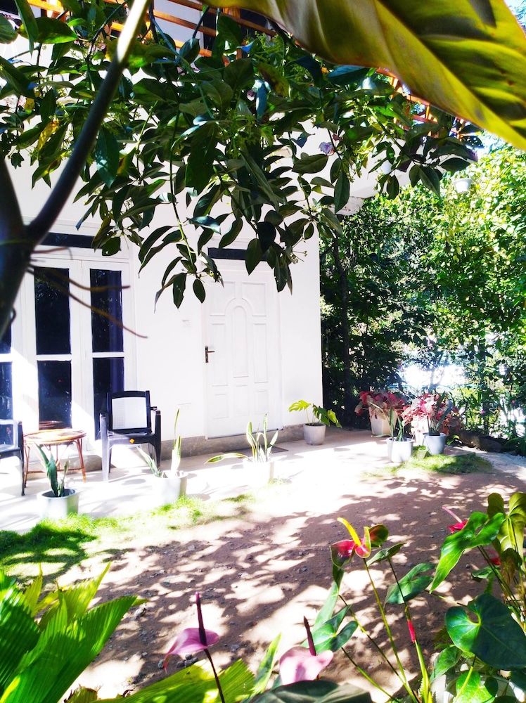 undefined Walkers Nest 7