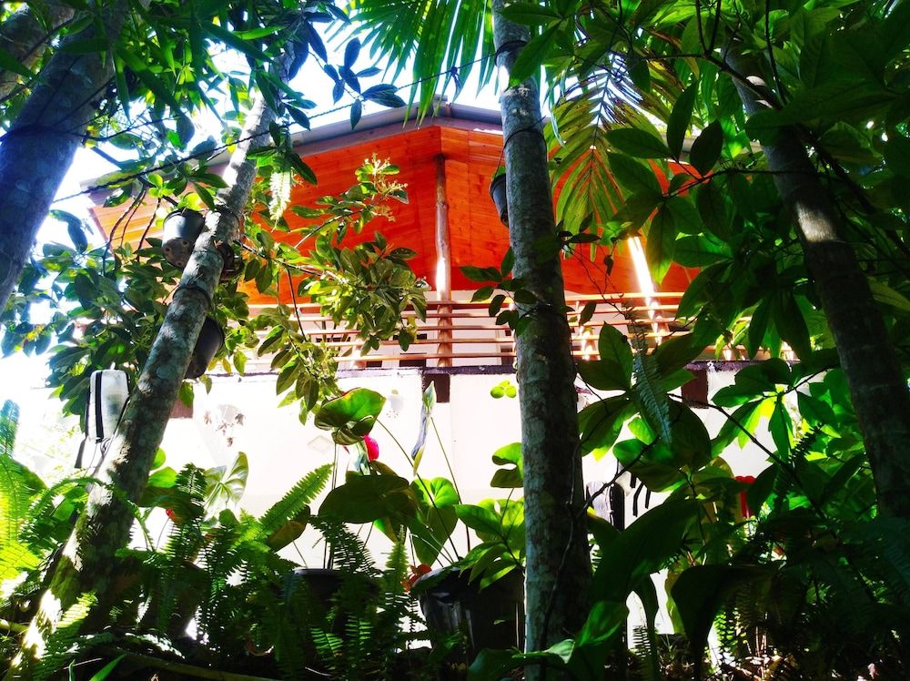 undefined Walkers Nest 6