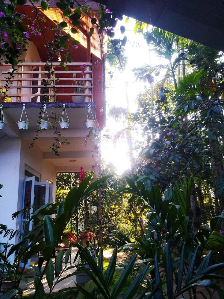 undefined Walkers Nest 2