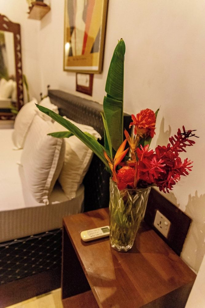 Villa Surf Beach Standard Double Room, 1 King Bed 6