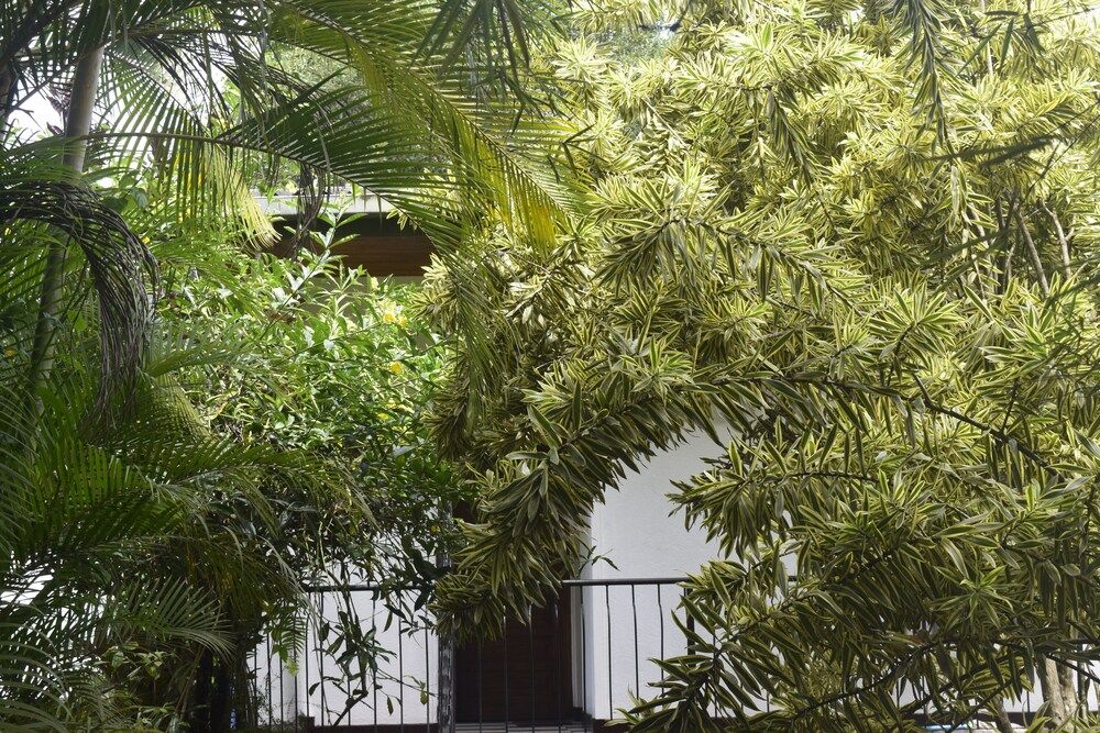 undefined Avaana By SpringHills 3