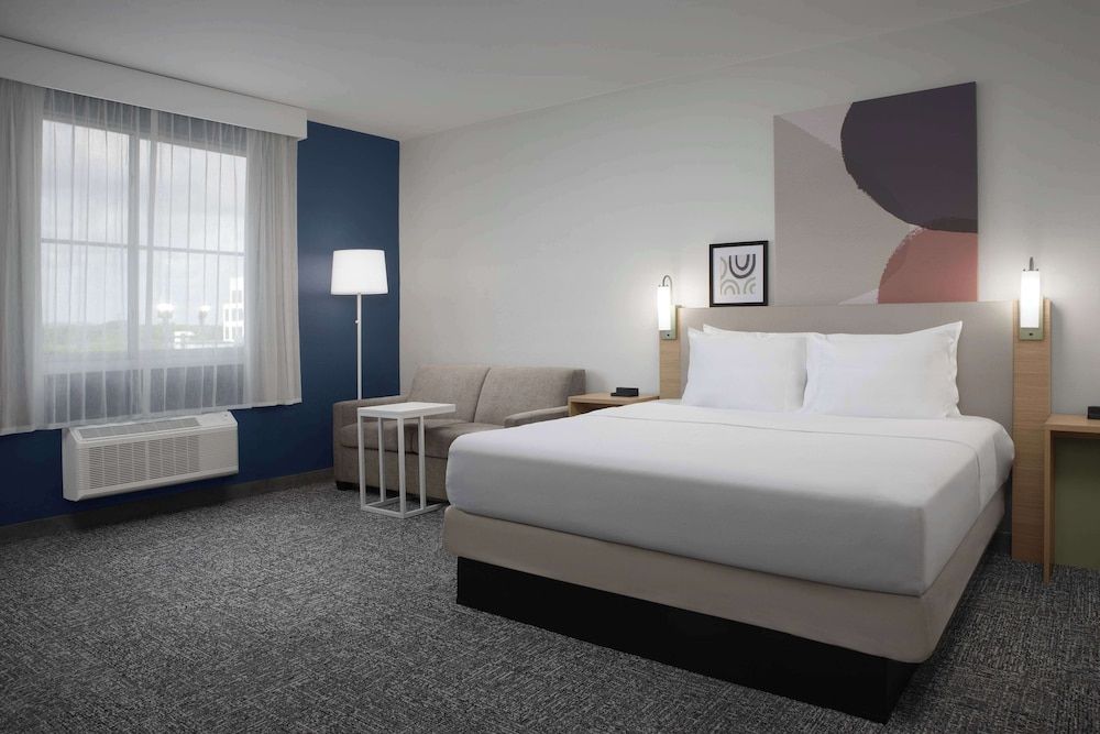 Room, 1 King Bed with Sofa bed