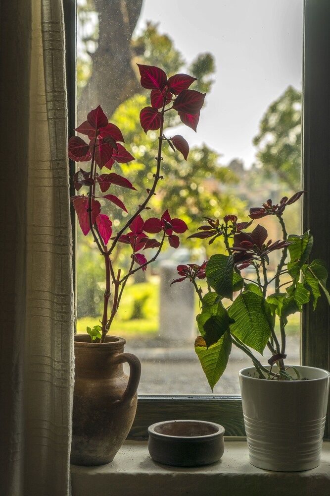 Elaia Hotel Double or Twin Room, City View 2