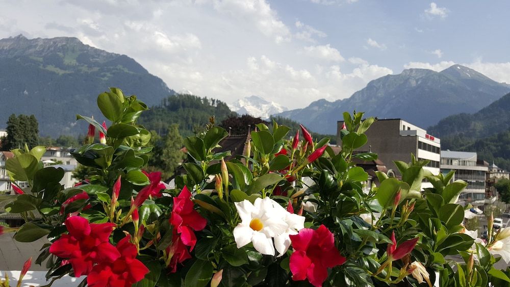 undefined Hotel Bernerhof 6