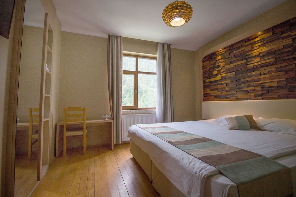 Ayderoom Hotel Deluxe Double or Twin Room, Mountain View 5