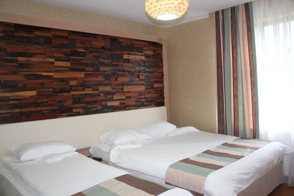 Ayderoom Hotel Deluxe Double or Twin Room, Mountain View 4