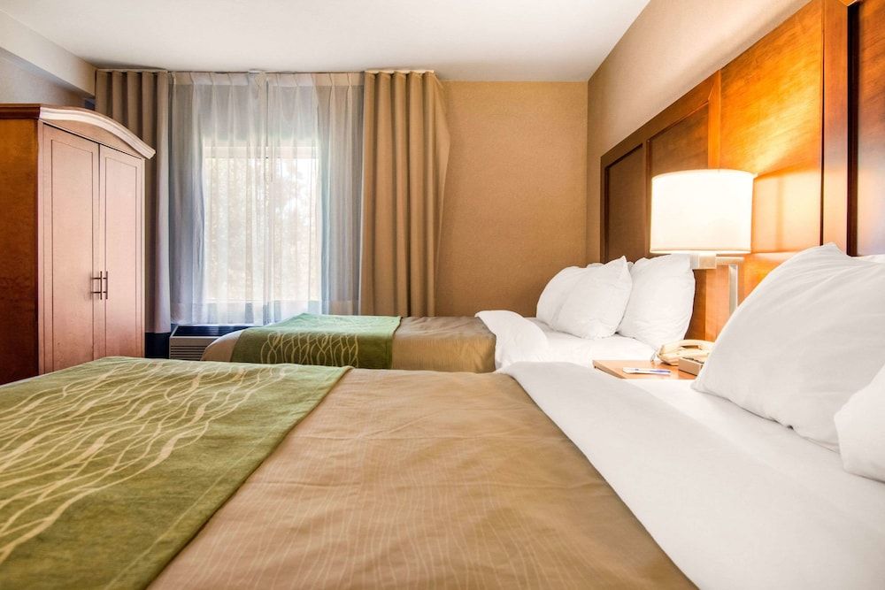 Suite, 2 Queen Beds, Non Smoking (Two person Sofabed)