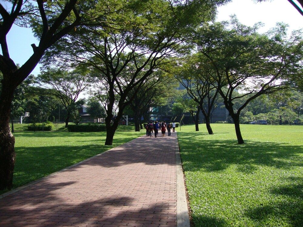 undefined Spring Light Home 7