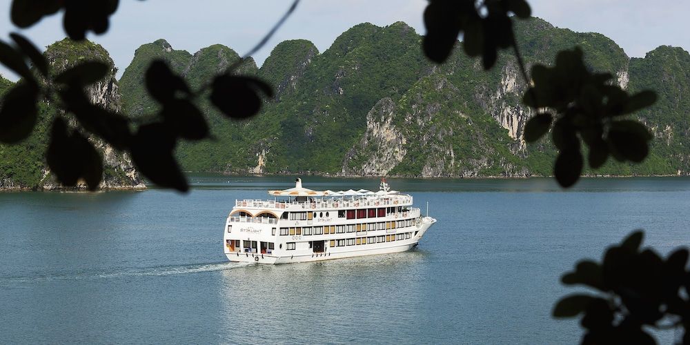 undefined Starlight Cruiser 5