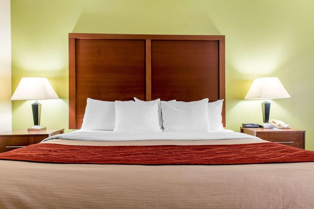 Standard Room, 1 King Bed, Non Smoking