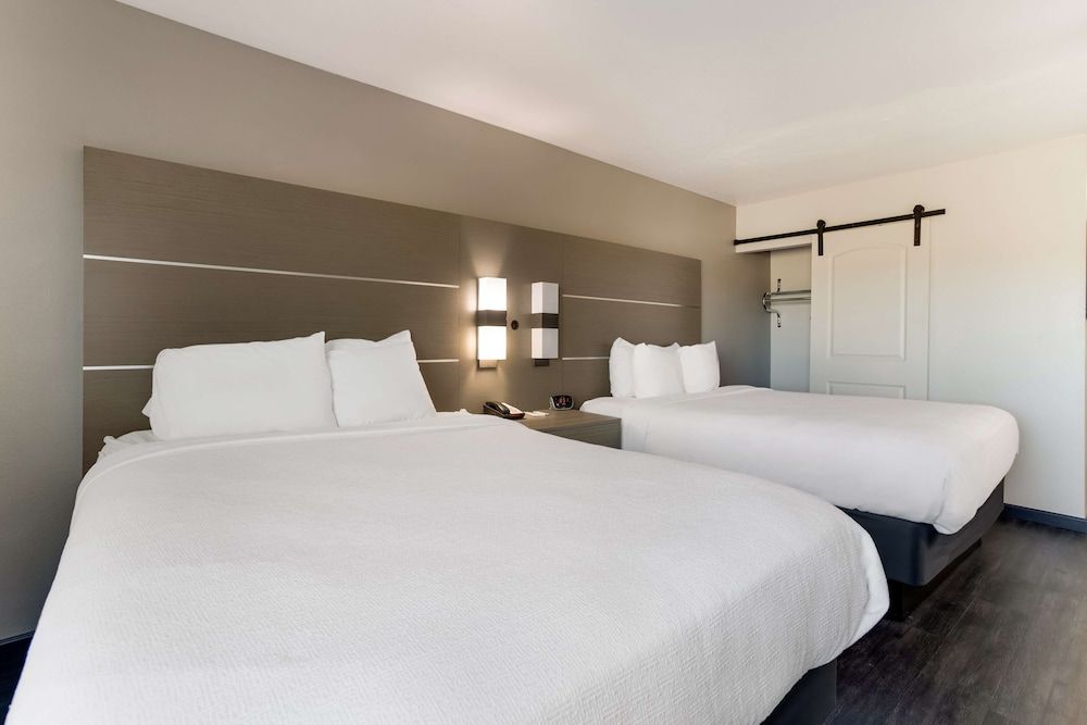 Standard Room, 2 Queen Beds, Non Smoking, Microwave