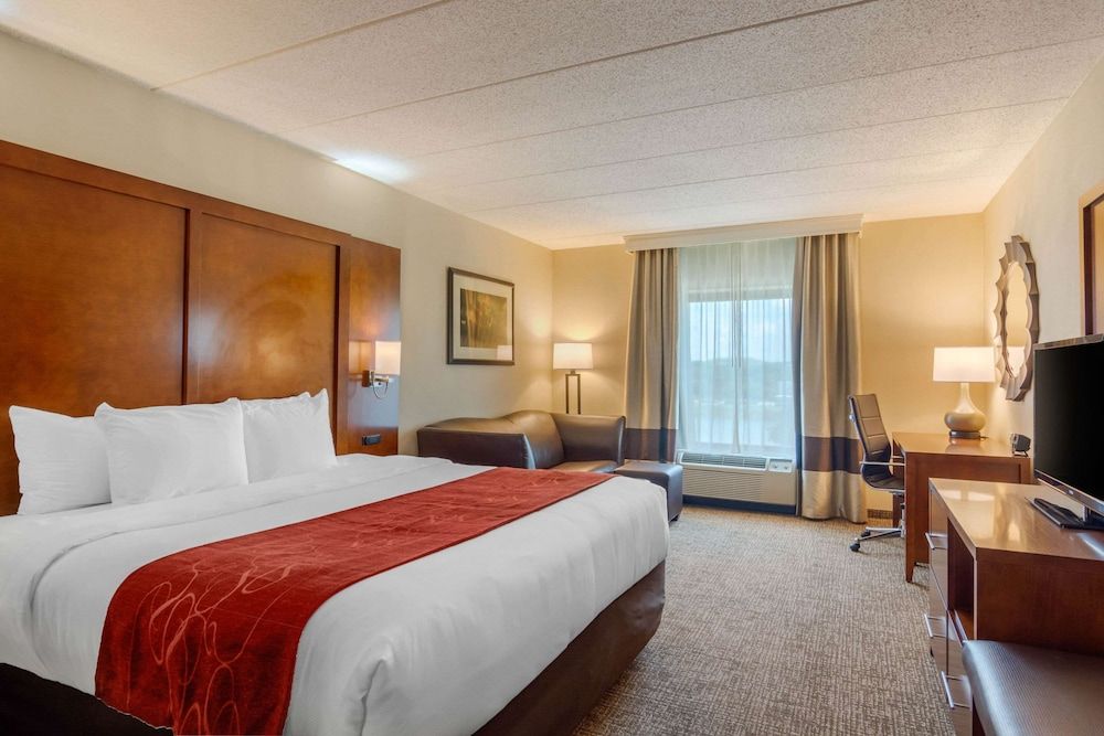 Studio Suite, 1 King Bed with Sofa bed, Accessible (Roll-In Shower)