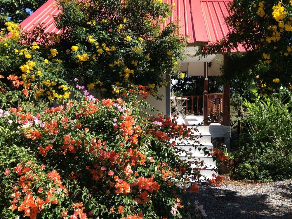 Areeya Resort Superior Bungalow, 1 Double Bed, Non Smoking, Resort View 6