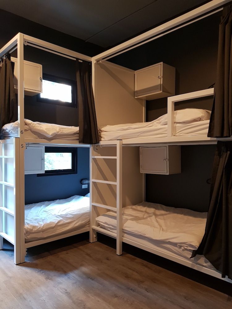 The Cocoon Hostel 6-Bed Mixed Dormitory 4