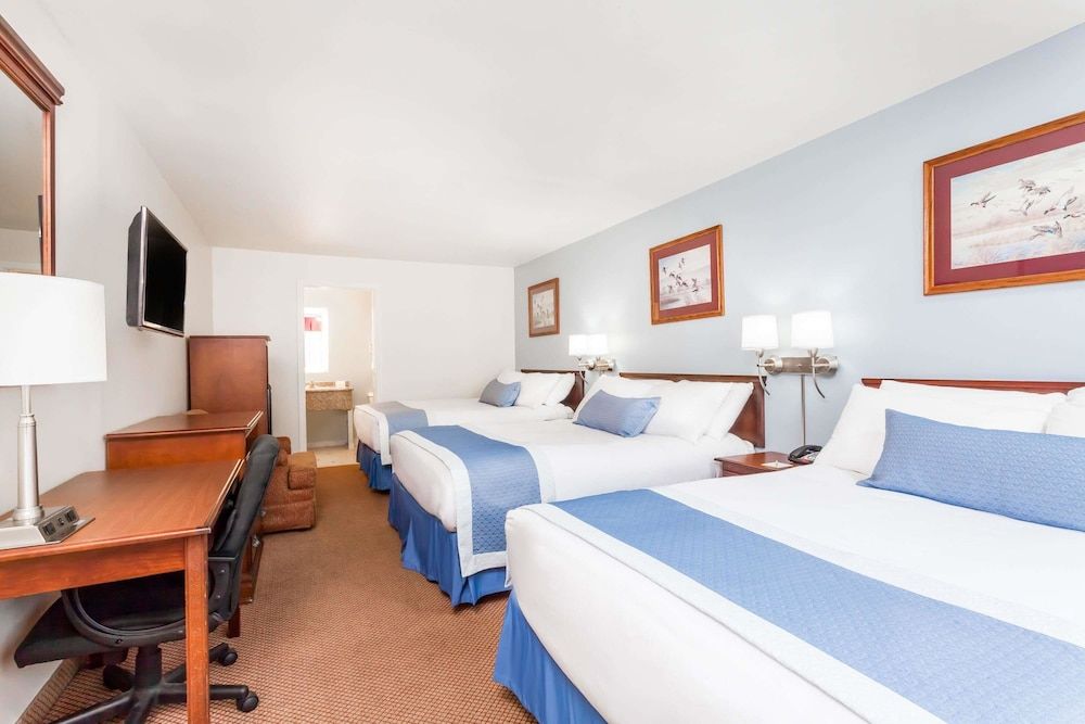 Studio Suite, Multiple Beds, Non Smoking