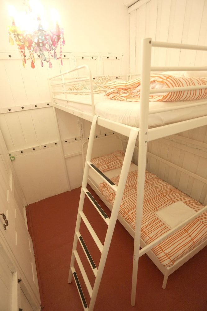 undefined Tiger Lily Hostel 10