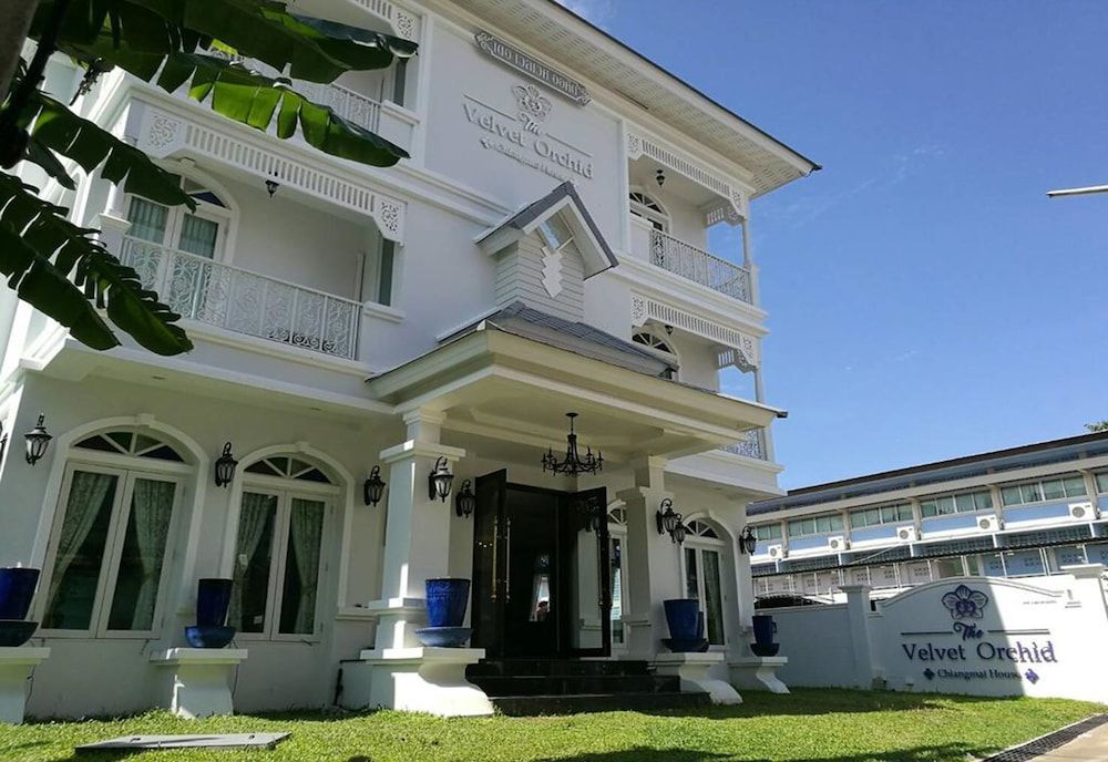 undefined The Velvet Orchid 6