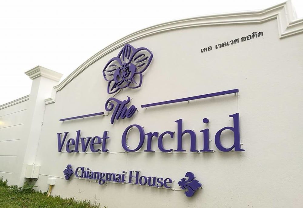 undefined The Velvet Orchid 3