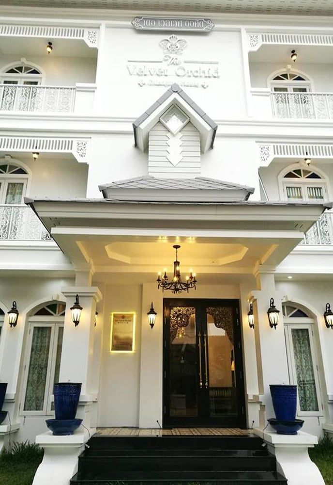 undefined The Velvet Orchid 4