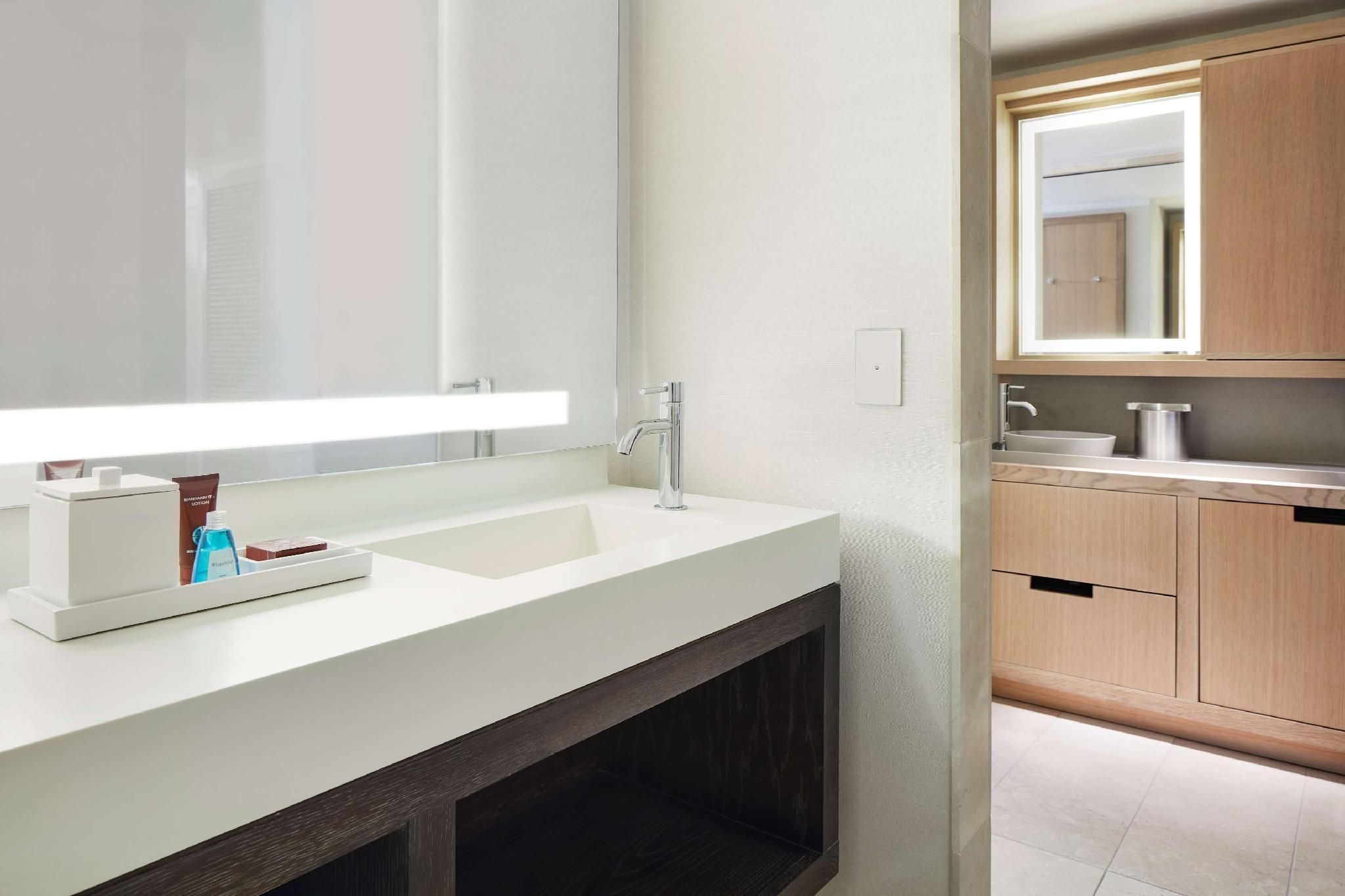 Deluxe Suite with One King Bed