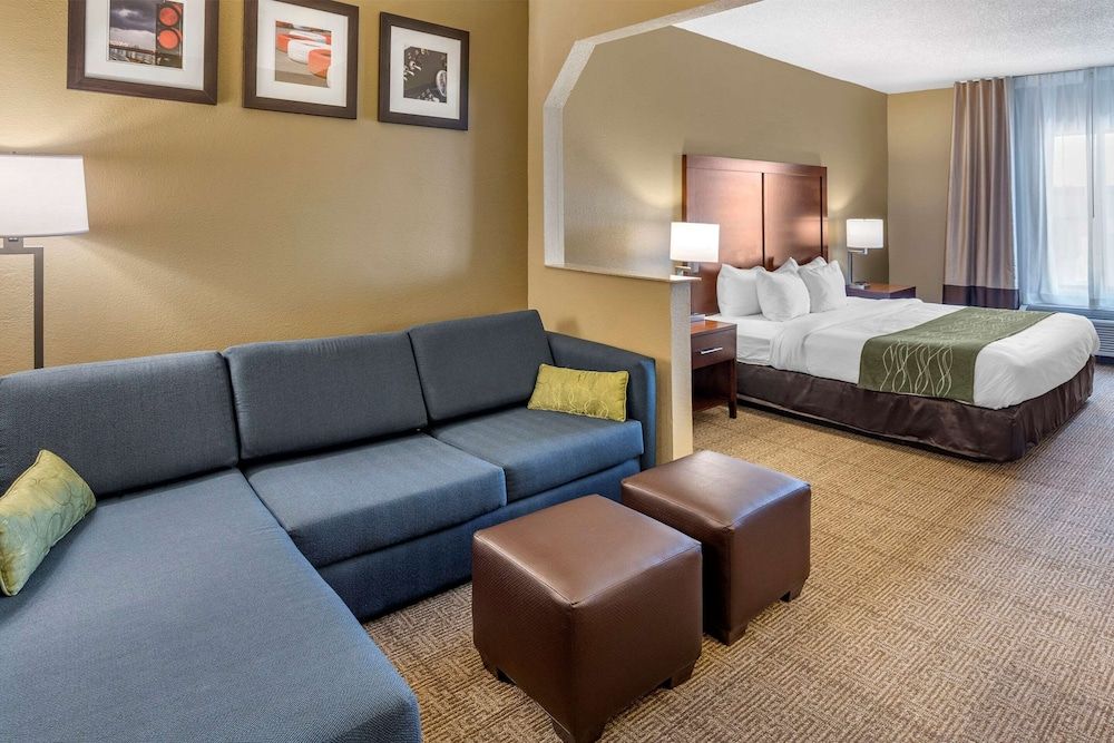Standard Suite, 1 King Bed with Sofa bed, Non Smoking