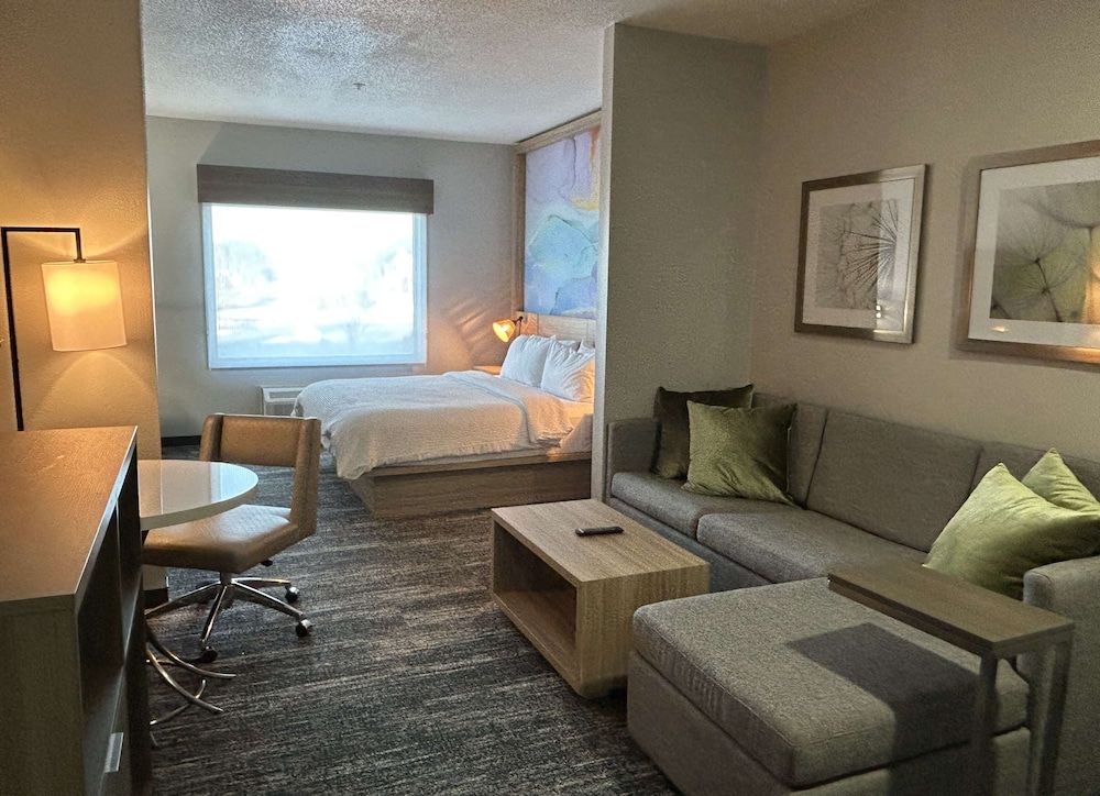 Suite, 1 King Bed, Accessible, Non Smoking (Walk-in Shower;with Single Sofabed)