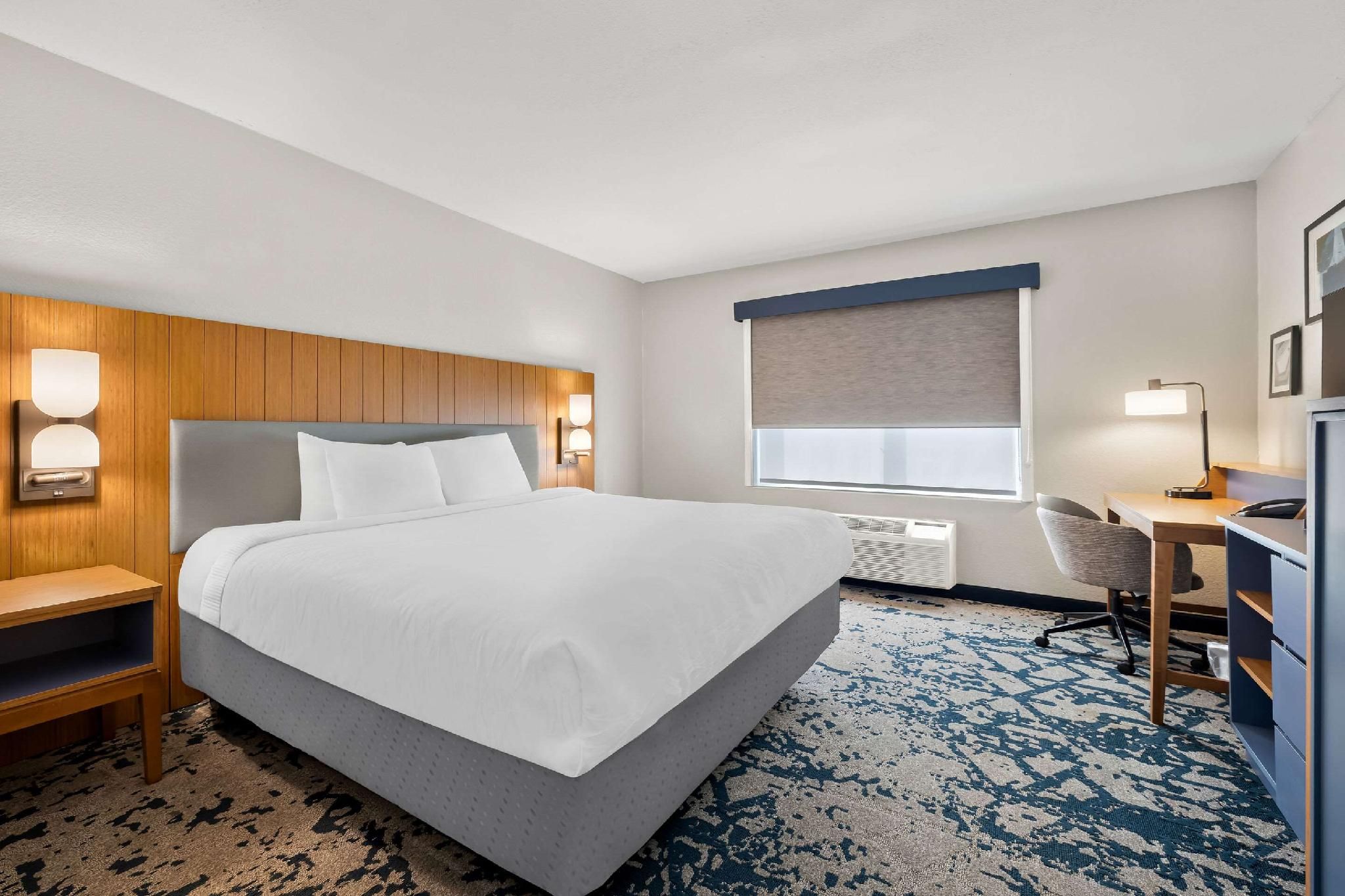 1 King Bed, Nonsmoking