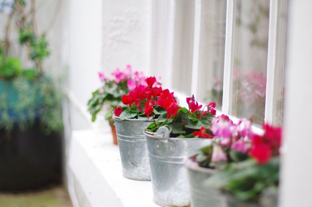 undefined The London Agent Camden Real Find 3