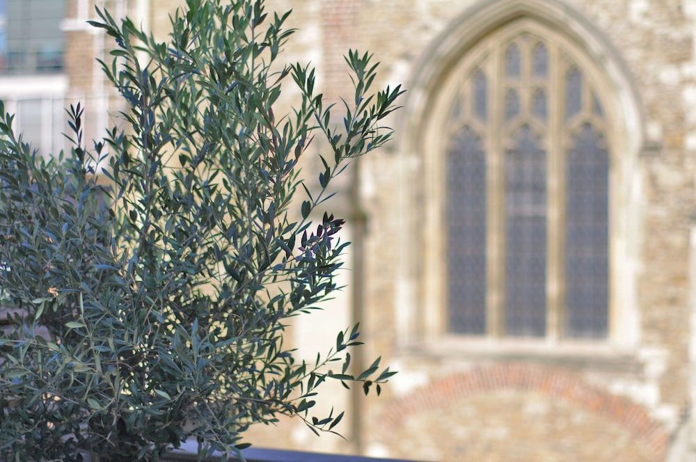 The London Agent Clerkenwell Albemarle Apartment, 2 Bedrooms 12