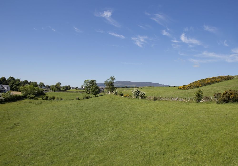 Flagstaff Lodge Executive Double Room, 1 King Bed, Mountain View 2