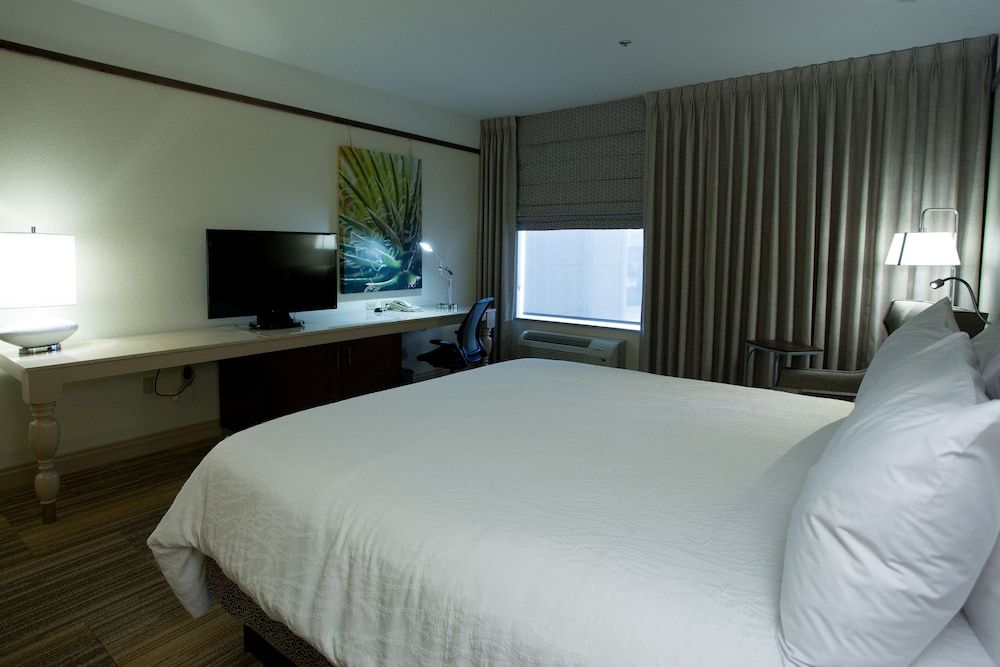 Room, 1 King Bed, Accessible