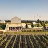 Huff Estates Inn & Winery