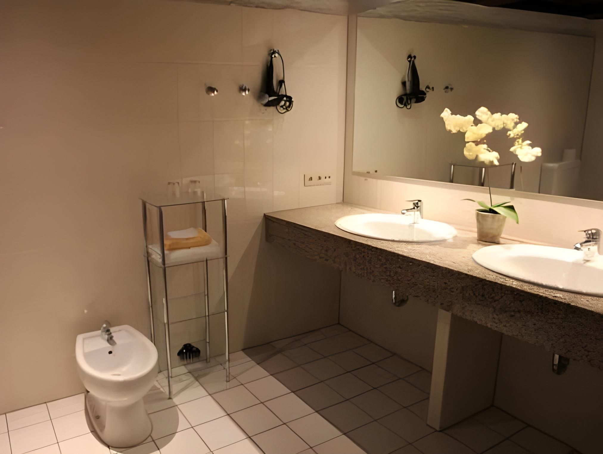 Premium Double  or Twin Room