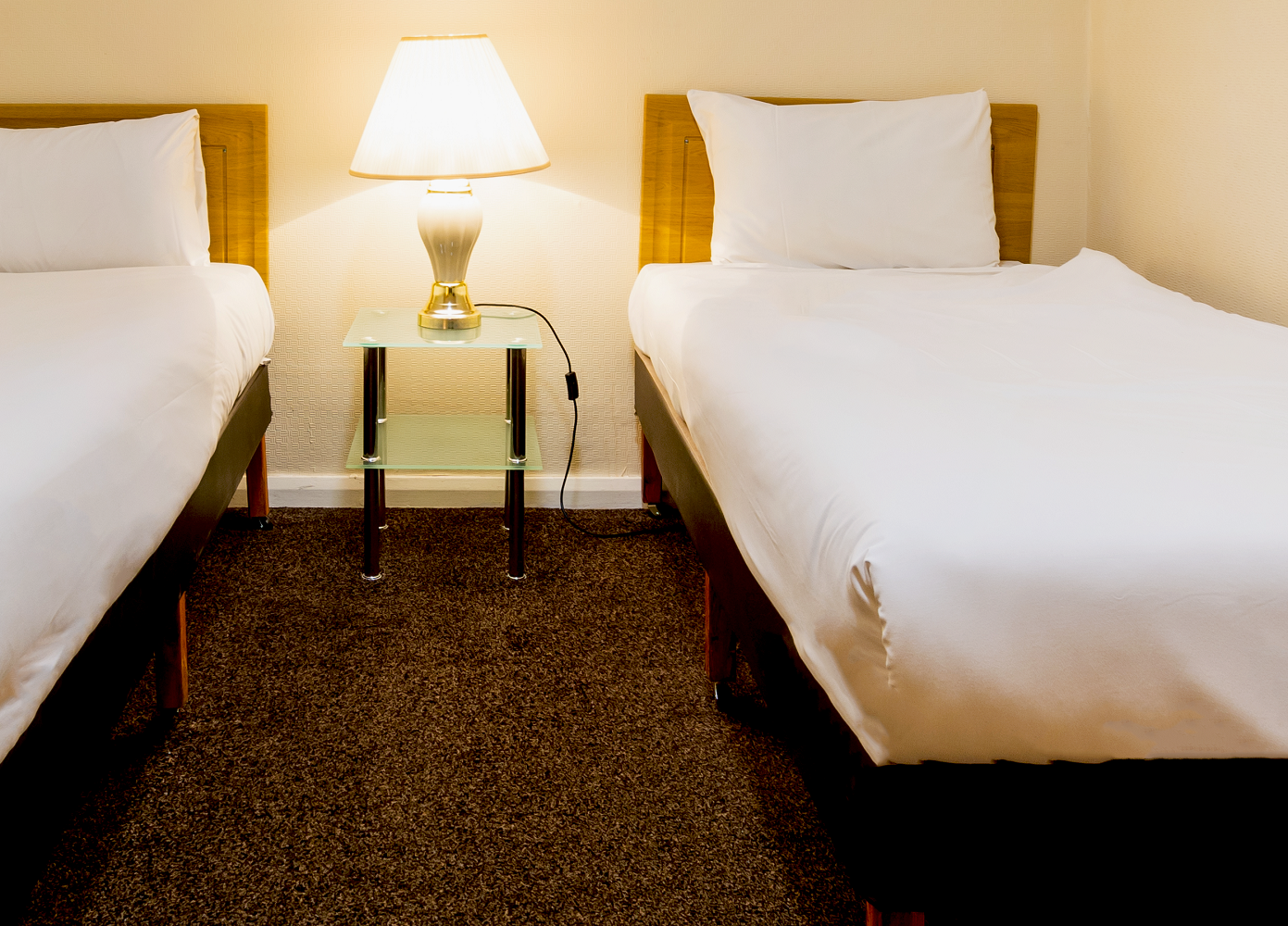 Annex Twin Room