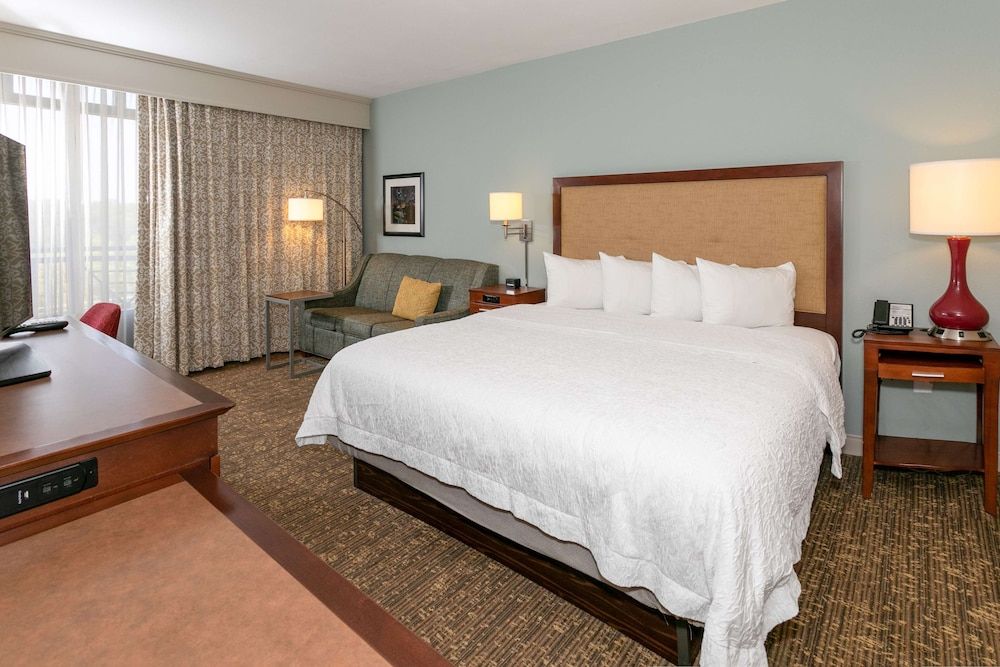 Room, 1 King Bed, Non Smoking