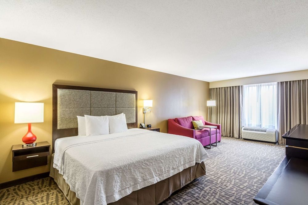 Deluxe, One King Bed, Non-Smoking