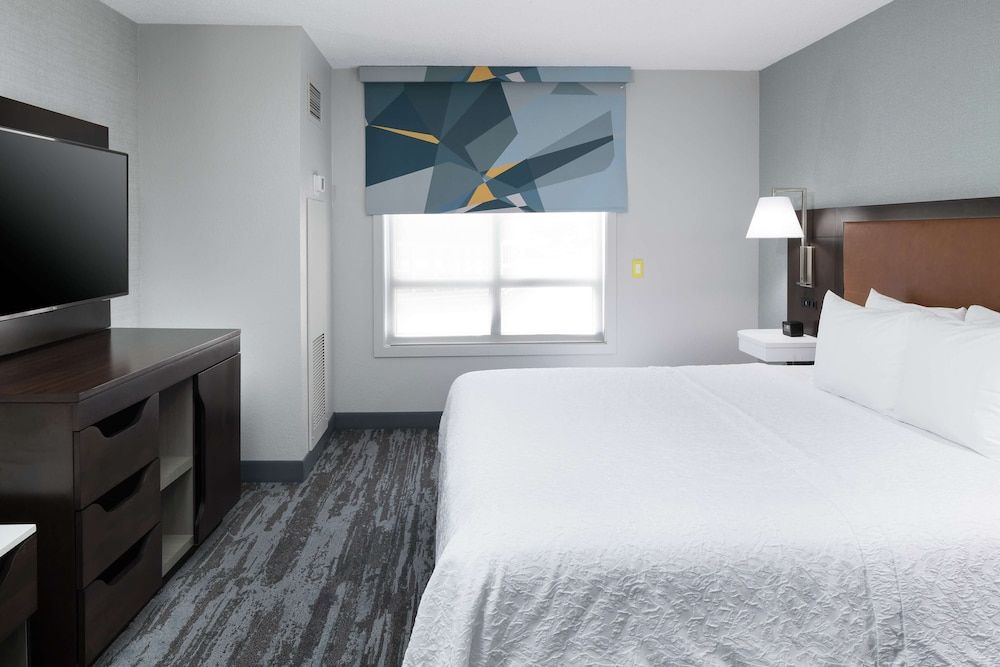 Suite, 1 King Bed with Sofa bed, Accessible (Roll-In Shower)