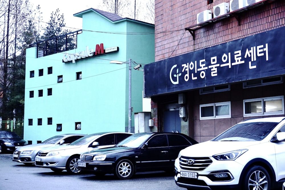 undefined Capsule Majung 3