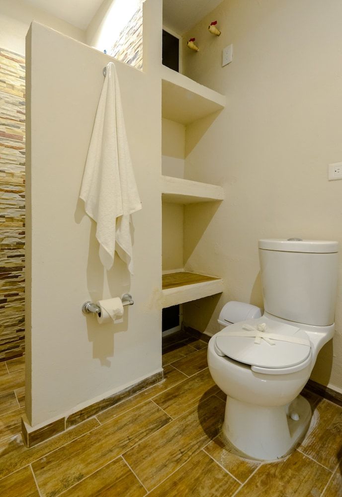 Casa del Árbol Condo Standard Apartment, 1 King Bed with Sofa bed, Kitchenette 5