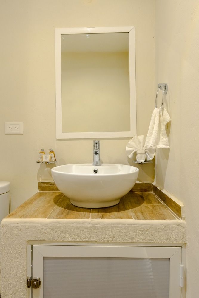 Casa del Árbol Condo Standard Apartment, 1 King Bed with Sofa bed, Kitchenette 6