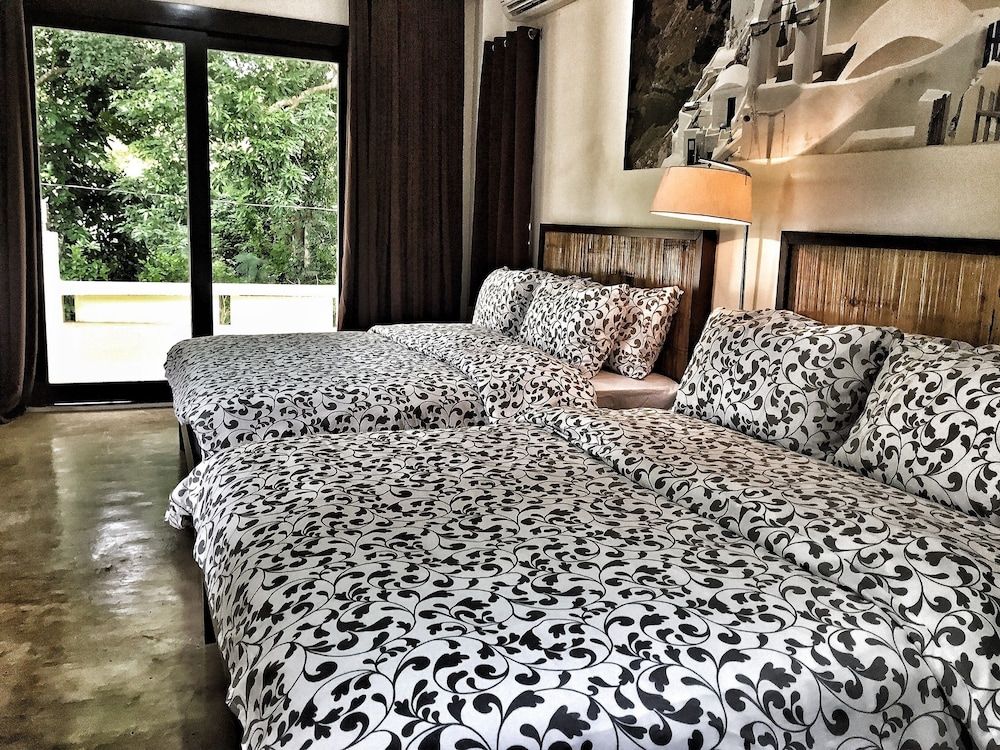 undefined Aloe de Diniwid