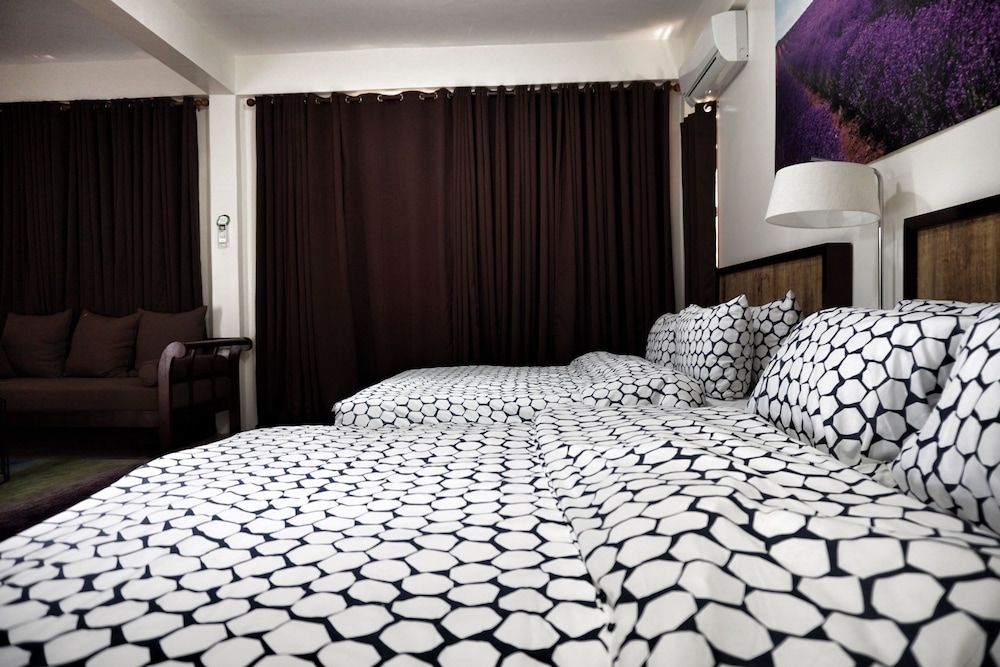 undefined Aloe de Diniwid 10